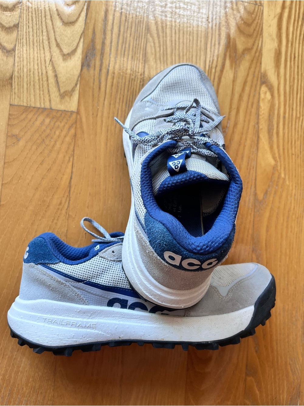 adidas Blue and White Athletic Shoe Interior